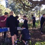 Forest Lodge school students at work on the Painted River project